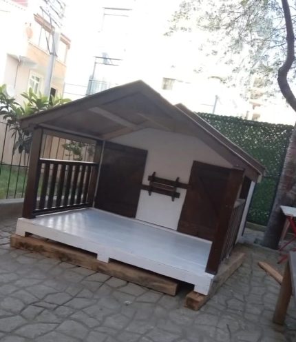 Ahşap köpek kulübesi